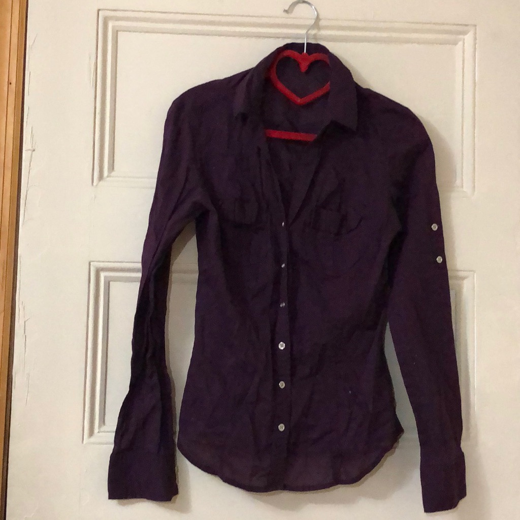 Plum Button Down From Express